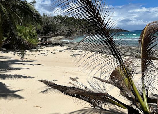 seychelles/silhouette-island/attraction/anse-lascars-beach