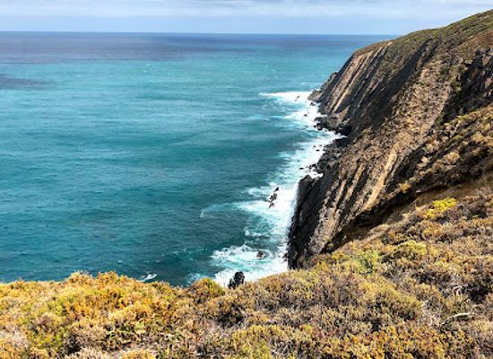 australia/fleurieu-peninsula/attraction/newland-head-conservation-park