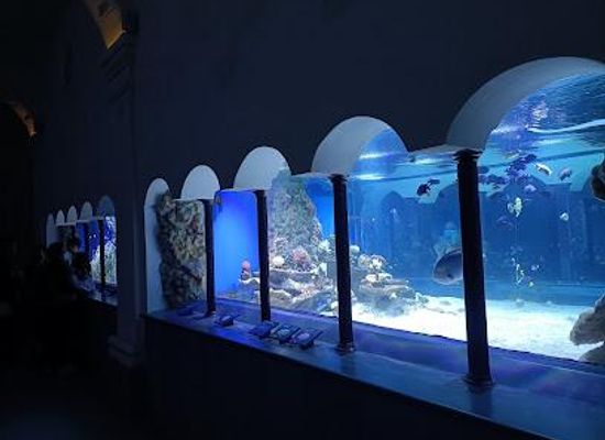 italy/naples/attraction/acquario-di-napoli