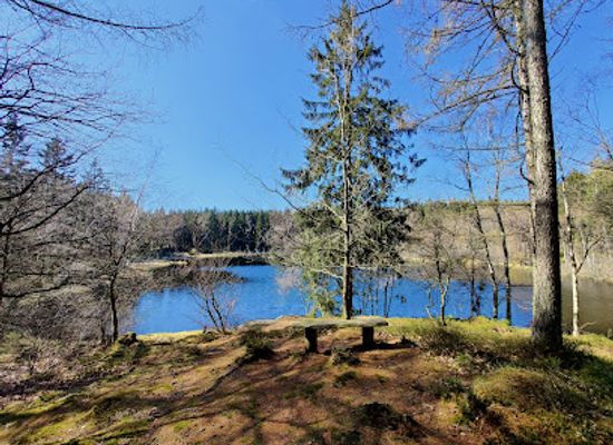 denmark/bornholm/attraction/rokkestenen-i-almindingen