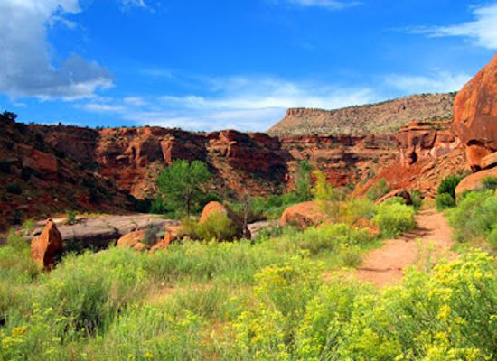 colorado/uncompahgre-plateau/attraction/dominguez-escalante-national-conservation-area