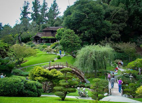 california/colorado-desert/attraction/the-huntington-library-art-museum-and-botanical-gardens