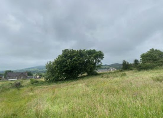ireland/county-limerick/attraction/kilfinane-motte