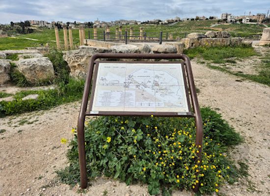 jordan/ajloun-highlands/attraction/the-cathedral
