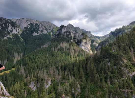 poland/tatra-mountains/attraction/jaskinia-mylna