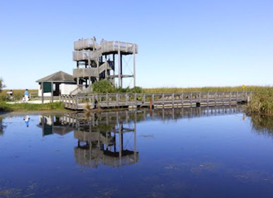 canada/southwestern-ontario/attraction/point-pelee-national-park