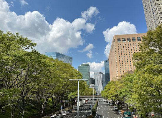 japan/tokyo/shinjuku/attraction/shinjuku-chuo-park