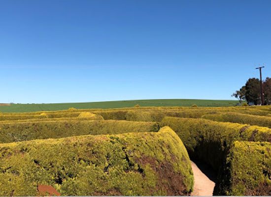 australia/barossa-valley/attraction/mintaro-maze