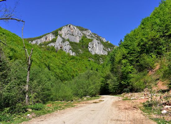 romania/hunedoara/attraction/cascadele-sipotului