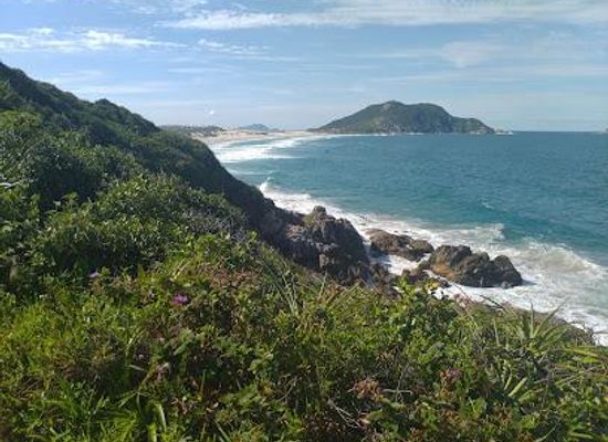 brazil/florianopolis/attraction/trilha-do-morro-das-aranhas