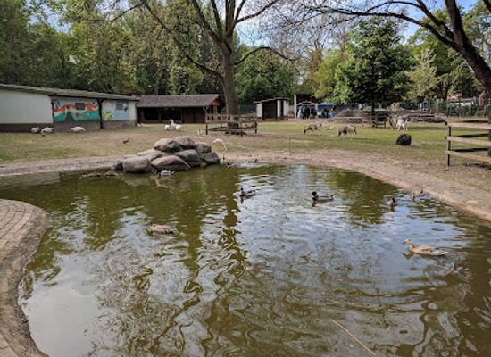 germany/taunus/attraction/tierpark-hattersheim-e-v