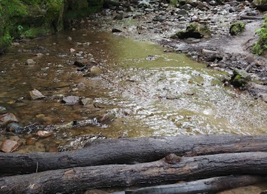 wisconsin/driftless-area/attraction/parfrey-s-glen-state-natural-area