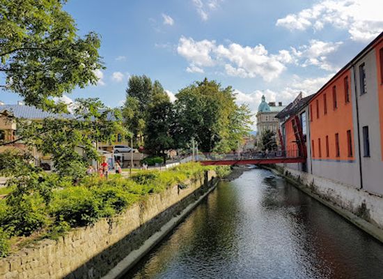 poland/bielsko-biala/attraction/pomnik-reksia