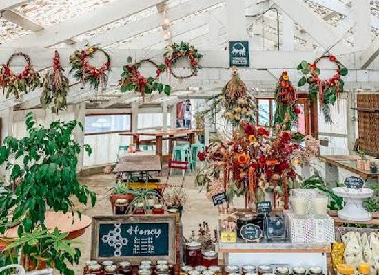 california/wine-country/attraction/heidrun-meadery
