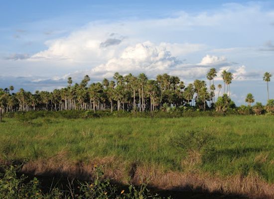 bolivia/pantanal/attraction/parque-nacional-de-otuquis