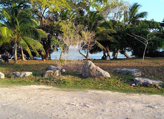 belize/corozal-town/attraction/mangrove-park