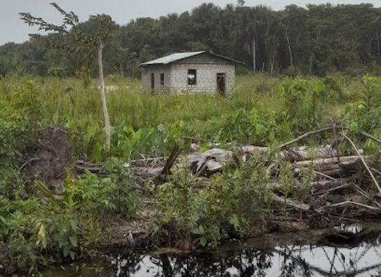 guyana/pomeroon-supenaam/attraction/triple-a-fresh-fish-farm