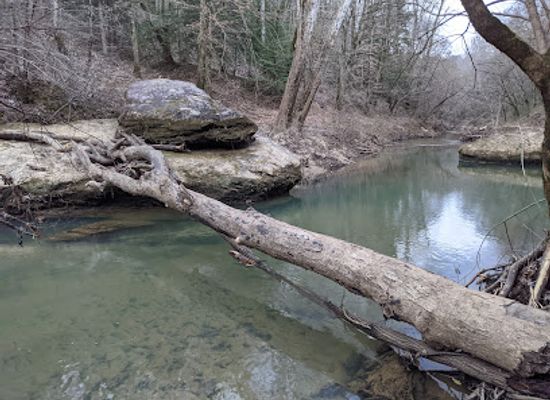 alabama/sipsey-wilderness/attraction/borden-trailhead
