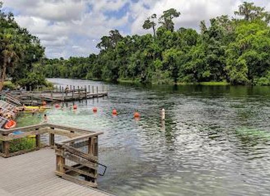 florida/ocala/attraction/kp-hole-park