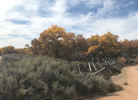 new-mexico/manzano-mountains/attraction/rio-grande-nature-center-state-park