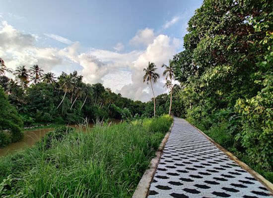 india/trivandrum/attraction/neeramankara-walkway