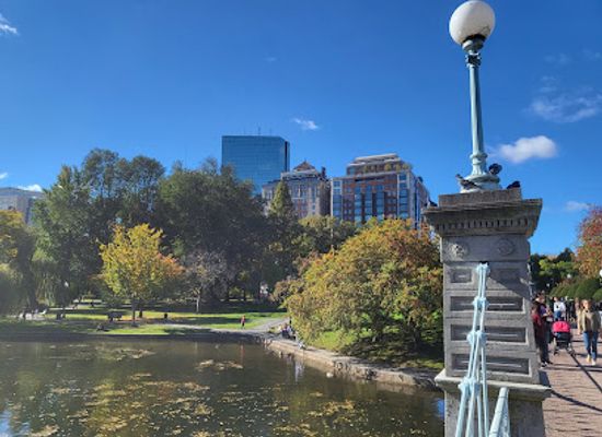 massachusetts/boston/attraction/public-garden