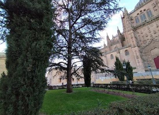 spain/salamanca/attraction/plaza-de-anaya