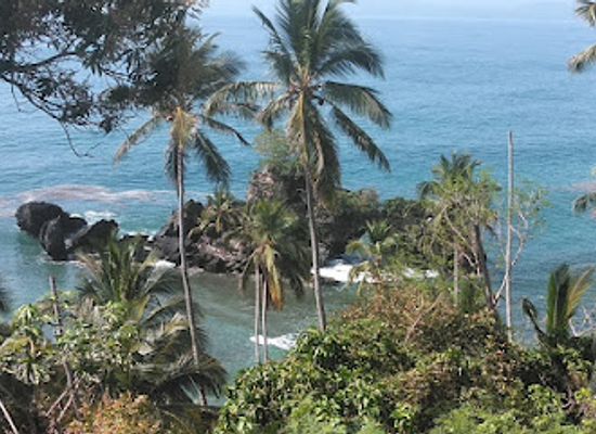 dominican-republic/samana/attraction/kleine-vogelinsel