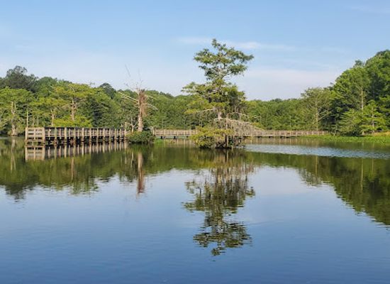 louisiana/river-parishes/attraction/chicot-state-park