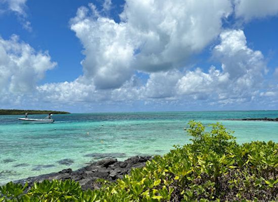 mauritius/grand-port/attraction/pointe-d-esny