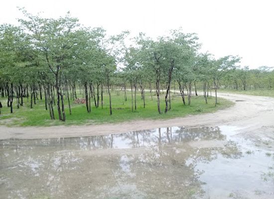 namibia/ongwediva/attraction/ovimbundu-tuvindele-park