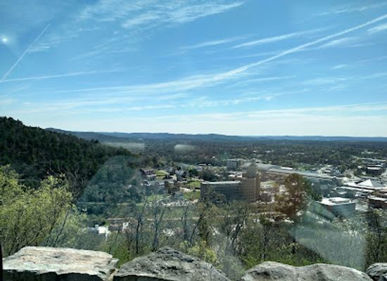 arkansas/ouachita-mountains/attraction/arkansas-alligator-farm-petting-zoo