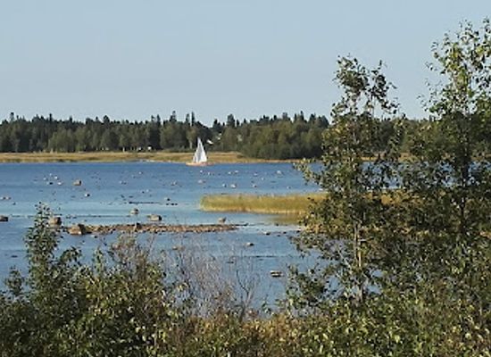 finland/oulu/attraction/letonniemi-nature-preserve