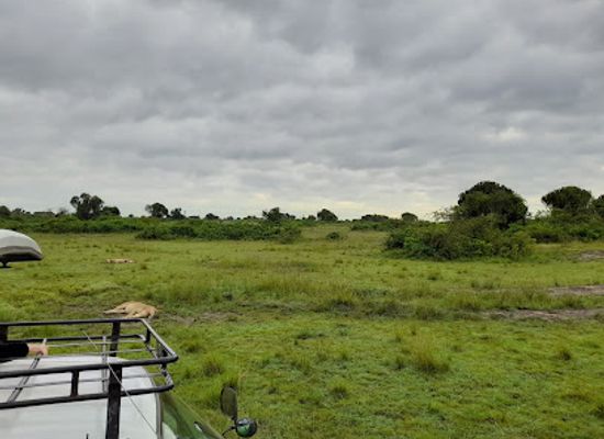 uganda/ankole/attraction/queen-elizabeth-national-park-safari