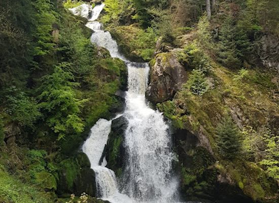 germany/black-forest/attraction/triberg-waterfalls-main-entrance