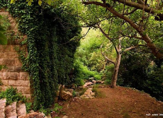 lebanon/chouf-district/attraction/bater-historical-mill