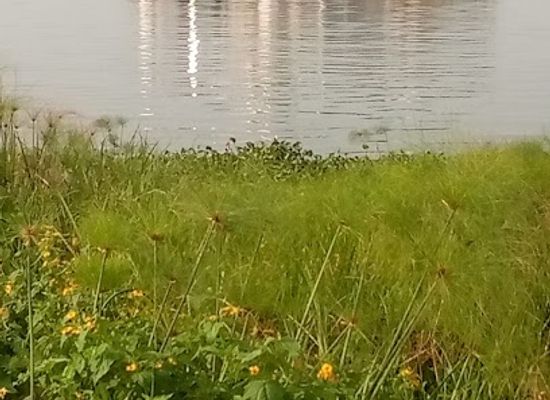 uganda/lango/attraction/namasale-landing-site