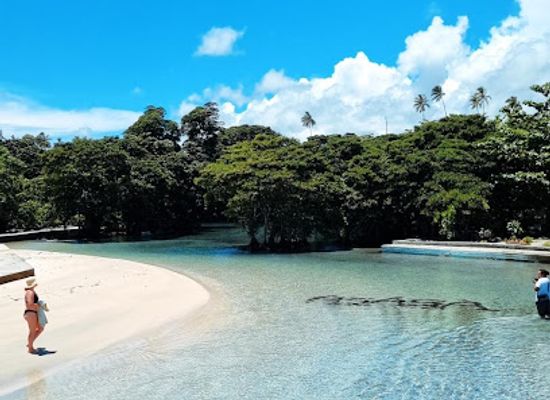 samoa/savai-i/attraction/asaga-river-pool-and-beach-fale
