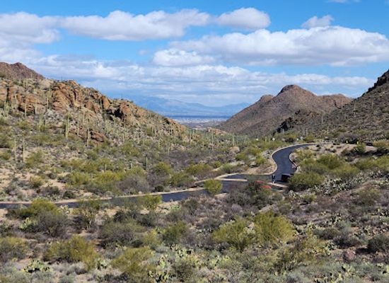 arizona/pima-county/attraction/tucson-mountain-park