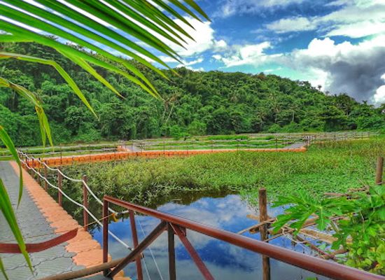 philippines/boracay/attraction/wetland-no-3