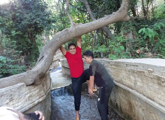 iraq/dohuk-governorate/attraction/musif-sbyndar