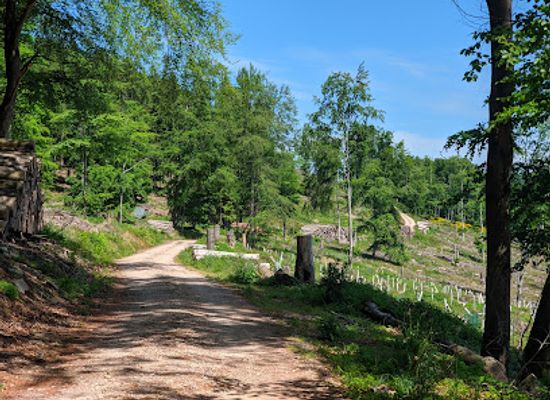 germany/taunus/attraction/altkonig-gipfel