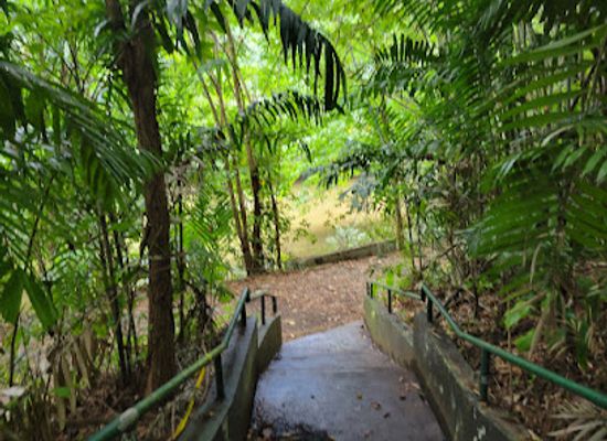 puerto-rico/caribbean-national-forest/attraction/jardin-botanico-de-la-upr