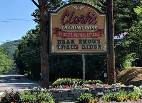 new-hampshire/great-north-woods/attraction/clark-s-bears