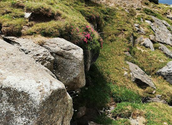 romania/bucegi-mountains/attraction/traseu-pestera-sfinx