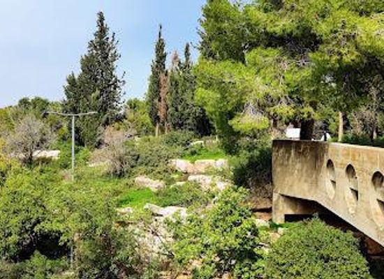 israel/ramat-gan/attraction/botanical-garden-of-the-hebrew-university-on-mount-scopus