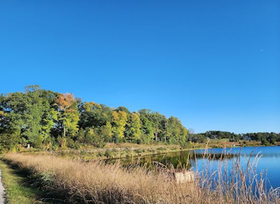 missouri/missouri-rhineland/attraction/broemmelsiek-park