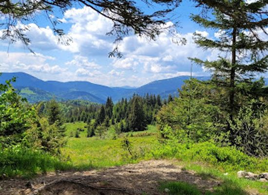 ukraine/transcarpathia/attraction/polonyna-shchyvka