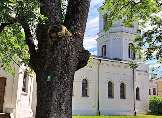 poland/suwalki/attraction/pomnik-przyrody