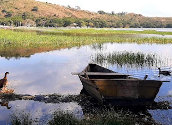 ethiopia/sidama-region/attraction/amora-gedel-park